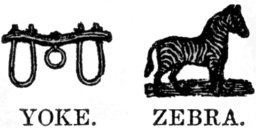 Yoke. Zebra.