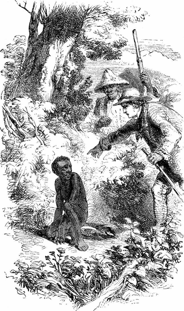 [Illustration: THE BUSHMAN BOY.]