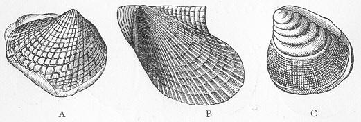 Fig. 71