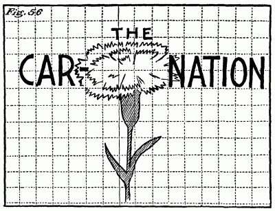 Figure 56: A carnation.