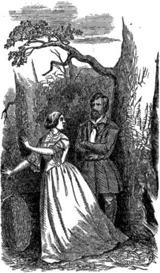 "Looking up, she saw a tall, dark man standing before her, his eye bent
upon hers with a look that sent the blood to her heart."—See page 36.