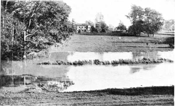 Pains Hill Cottage, Cobham, Surrey