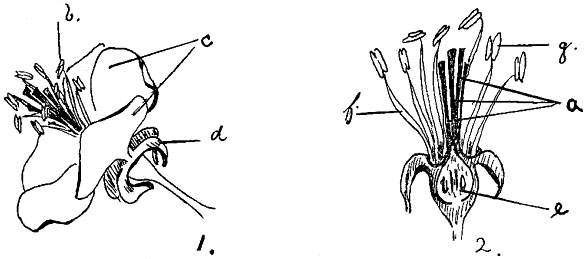 Fig. 71.