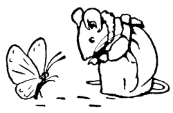 Mrs. Tittlemouse & Butterfly