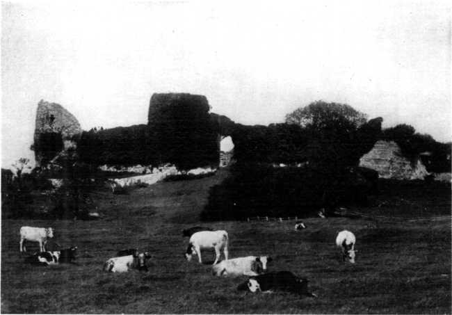 PEVENSEY CASTLE, WHERE THE NORMANS LANDED.