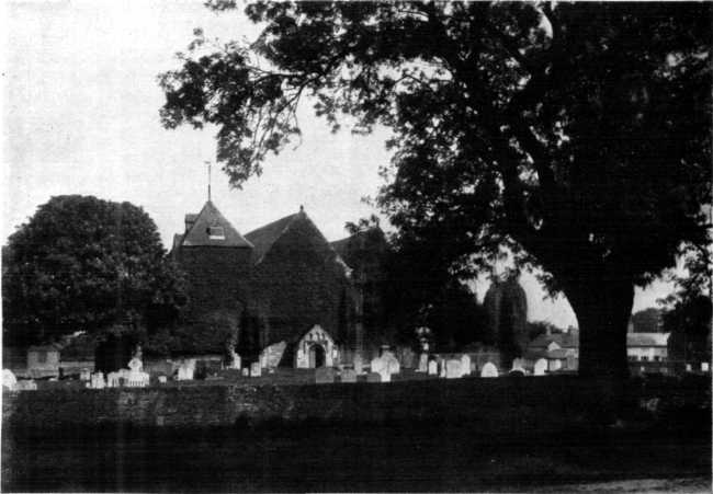 WINCHELSEA CHURCH AND ELM TREE.