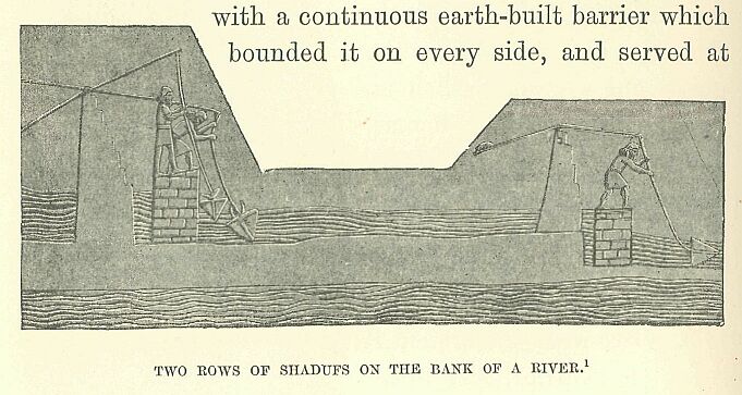 324.jpg Two Rows of Shadufs on the Bank Of a River. 