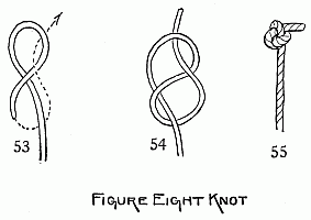 Figure Eight Knot