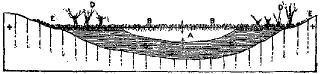 Fig. 18.—Diagram showing development of swamp: A,
remains of lake; B, surface growth; c, peat.