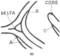 Fig. 25