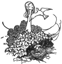 Illo15