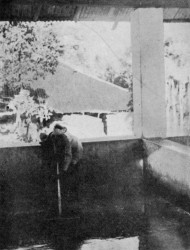 WASHING THE BEANS IN A VAT TO CLEAN OFF THE PULP, CEYLON.