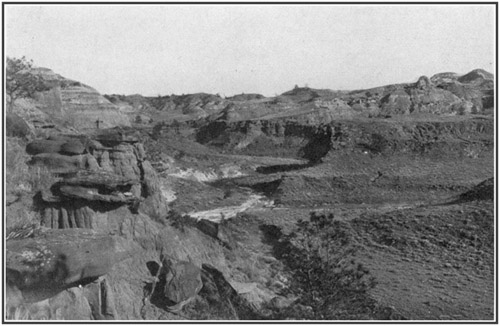 Fig. 13.: View in the Hell Creek badlands in central
Montana, where the Tyrannosaurus skeleton was found.