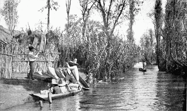 Illustration: FLOATING GARDENS ON THE CHENAMPAS.