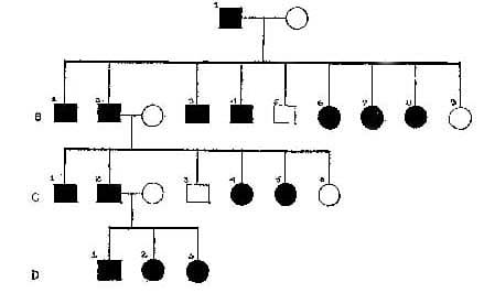 A FAMILY WITH ORTHODACTYLY