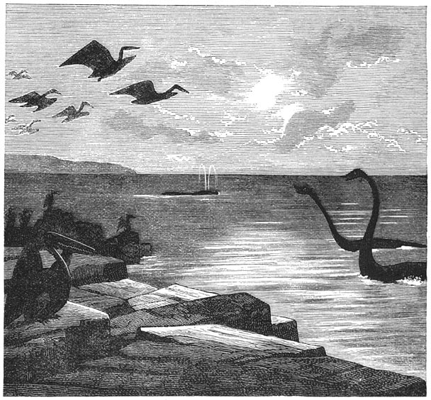 Vleugelvingers (Pterodactyli) met breede vleugels sprongen door de lucht.