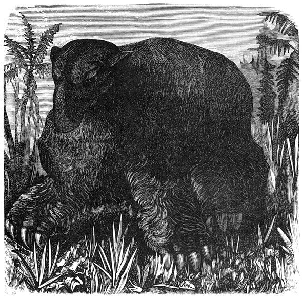 Fig. 298. Het megatherium (pliocene periode, Zuid-Amerika).