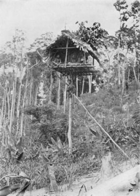 Tree hut, Ulu Batu, about twelve miles from Kuala Lumpur, Selangor (from
Skeat and Blagden's "Pagan Races of the Malay Peninsula")