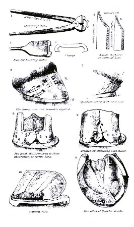 PLATE XXXVI.