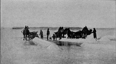 Gathering salt at the mouth of the Ural River