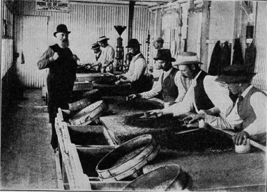 Sorting gravel for diamonds in the Kimberley mine