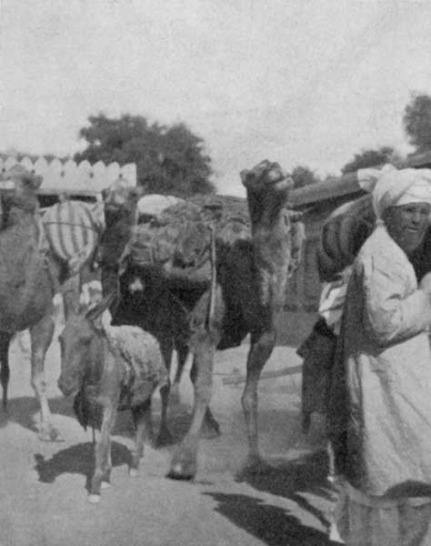 Fig. 149. Trans-border traders in Pesháwar.