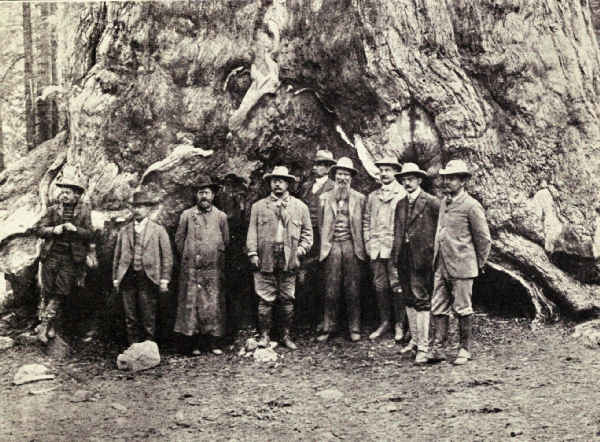 UNDER A GIANT SEQUOIA