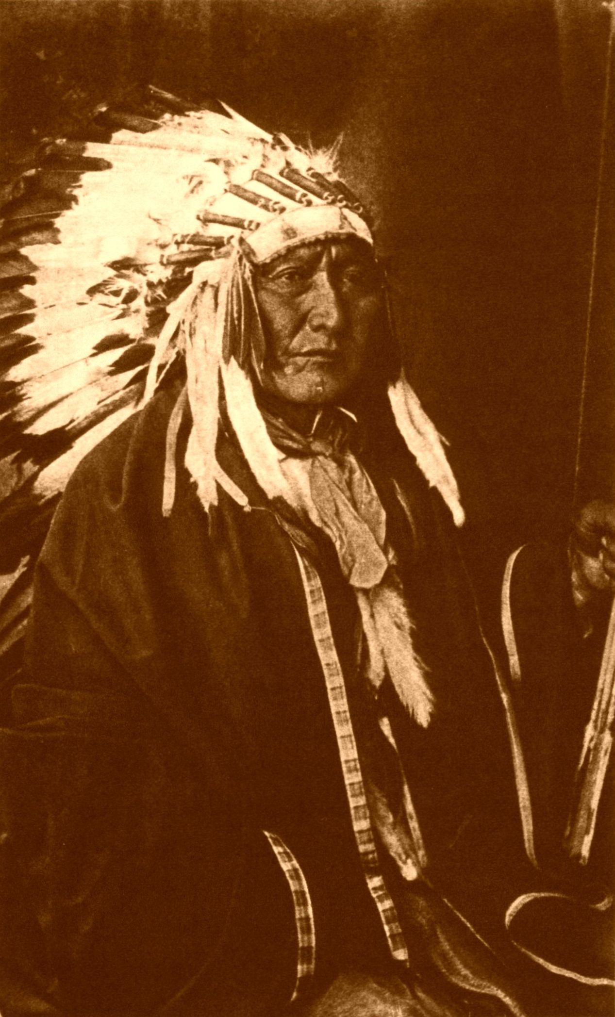 Chief Brave Bear