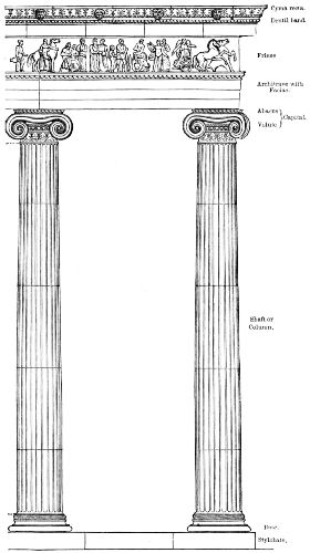 Diagram showing elements of the Ionic order