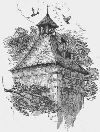 DOVECOTE, STANTON HARCOURT.