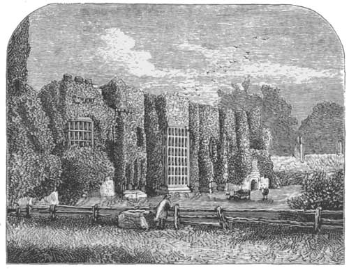 RUINS OF COWDRAY.