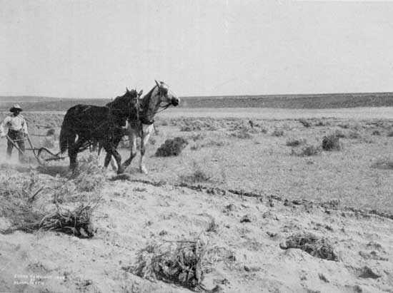 Irrigation—"First, parched lands of sage; then the flow"
