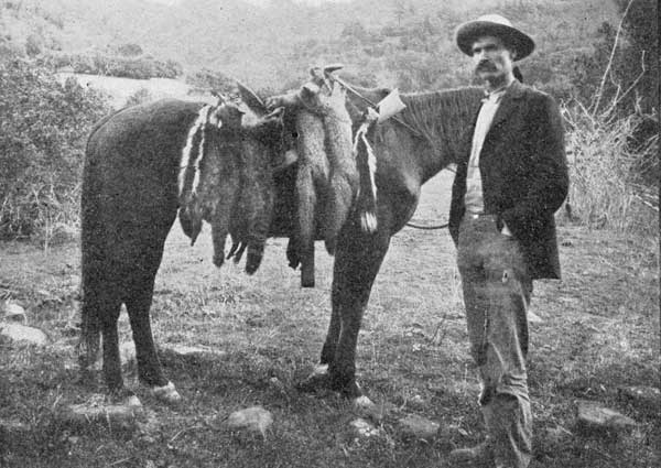 CALIFORNIA TRAPPER VISITING TRAPS.