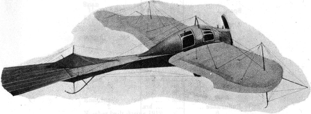 Rumpler. "Taube." With limousine body.