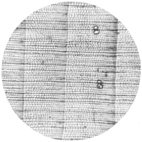 cross-section