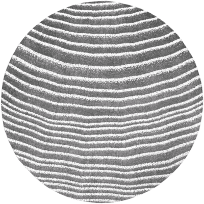 Cross-section of Ring-porous Wood, White Ash.