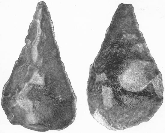 WIDESPREAD SIMILARITY OF MEN OF THE STONE AGE