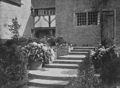 Hydrangeas in Tubs, in a part of the same Garden.