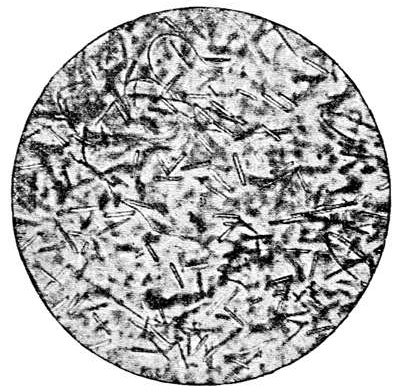 Fig. 42.

A slice of volcanic glass under the microscope,
showing well-developed microliths. (After
Cohen.)