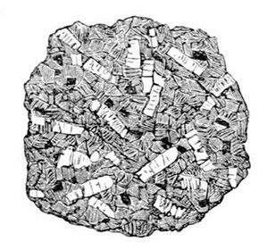 Fig. 43.

A piece of Dartmoor Granite,
drawn from a specimen.