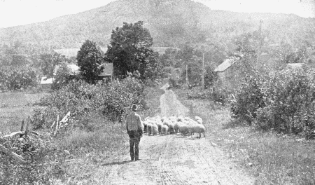 A SCENE IN THE BERKSHIRE HILLS.