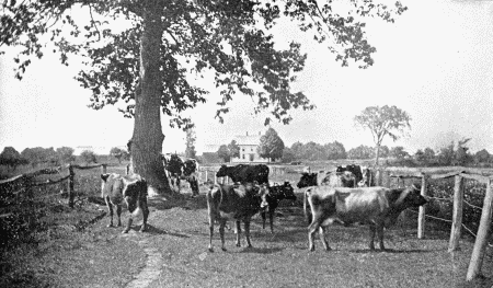 RURAL SCENE IN CENTRAL NEW YORK.