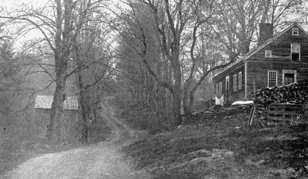 A COTTAGE IN THE WOODS.