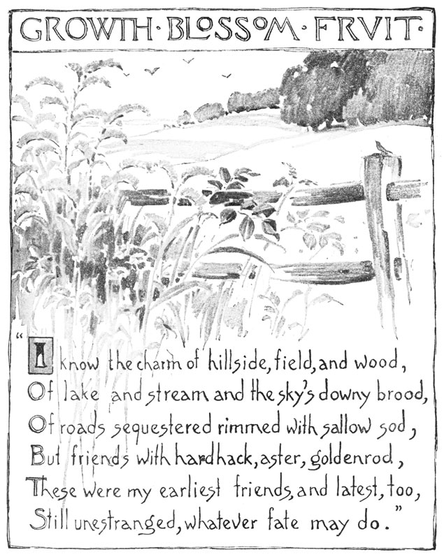 Growth. Blossom. Fruit. 'I know the charm of hillside, field, and wood, Of lake and stream and the sky's downy brood, Of roads sequestered rimmed with sallow sod, But friends with hardhack, aster, goldenrod, These were my earliest friends, and latest, too, Still unestranged, whatever fate may do.'