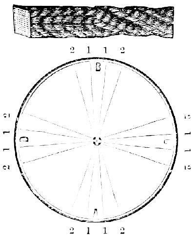 Pattern