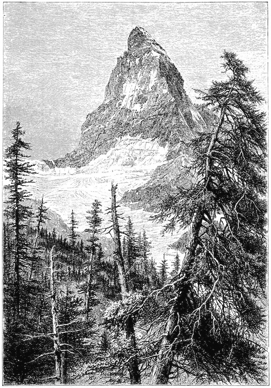 THE MATTERHORN FROM THE RIFFELBERG.