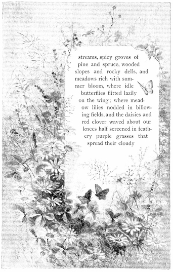 streams, spicy groves of pine and spruce,
wooded slopes and rocky dells, and meadows rich with summer bloom, where
idle butterflies flitted lazily on the wing; where meadow lilies nodded
in billowing fields, and the daisies and red clover waved about our
knees half screened in feathery purple grasses that spread their cloudy