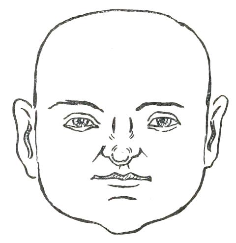 Fig. 15

SQUARE FACE