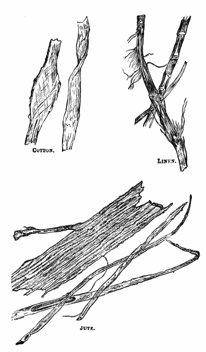 Cloth fibers under the
microscope.