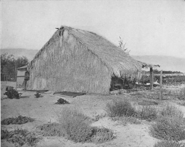 AN OASIS DWELLING THATCHED WITH PALM LEAVES IN COLORADO
desert
This might pass for a cannibal's hut in the South Sea Islands